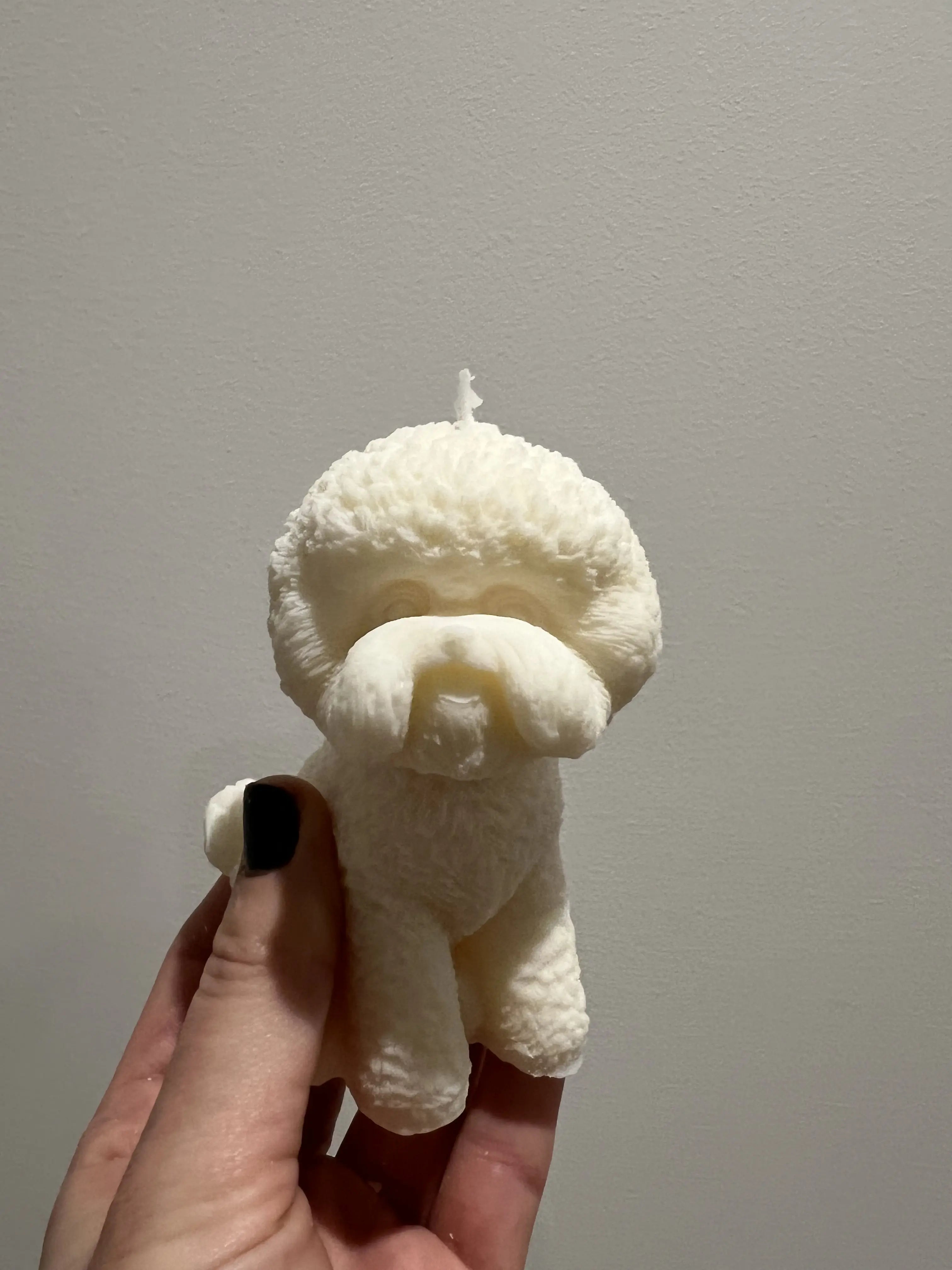 Świeca sojowa pies bichon